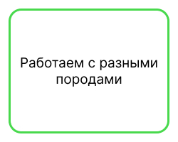 Универсальные 2.jpg